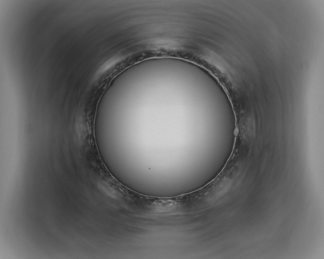 X0000112941112200908311443