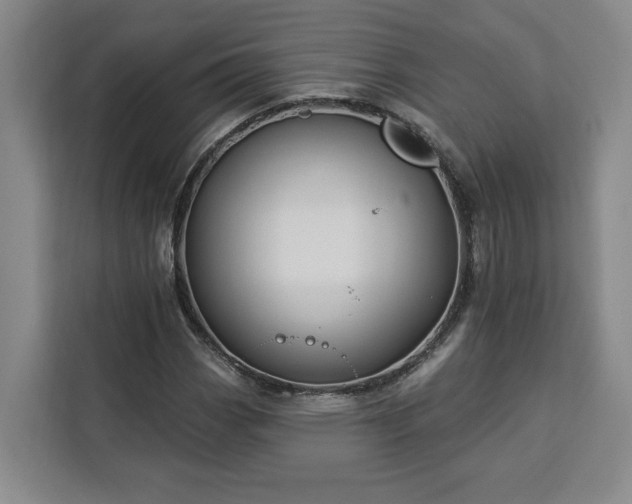X0000112941113200908311443
