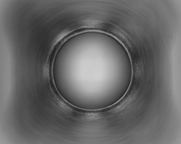 X0000112941114200908311443