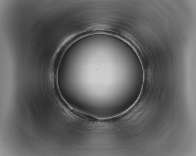 X0000112941115200908311443