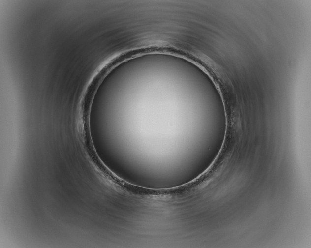 X0000112941118200908311443