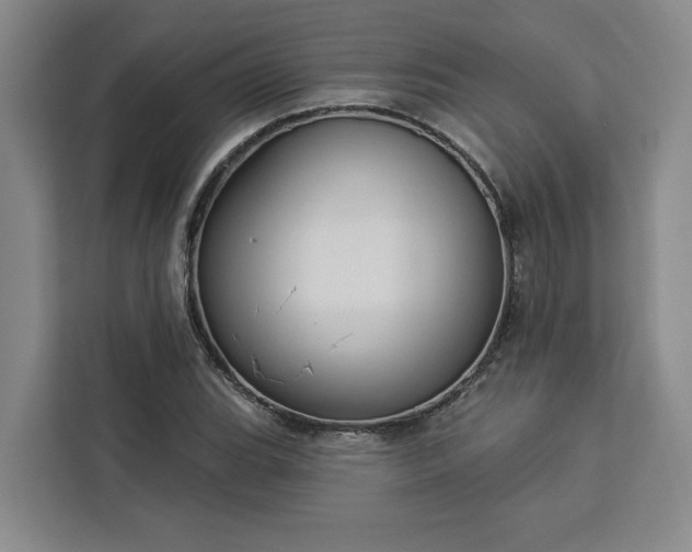 X0000112941119200908311443
