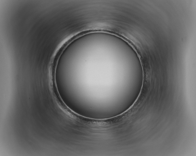 X0000112941120200908311443