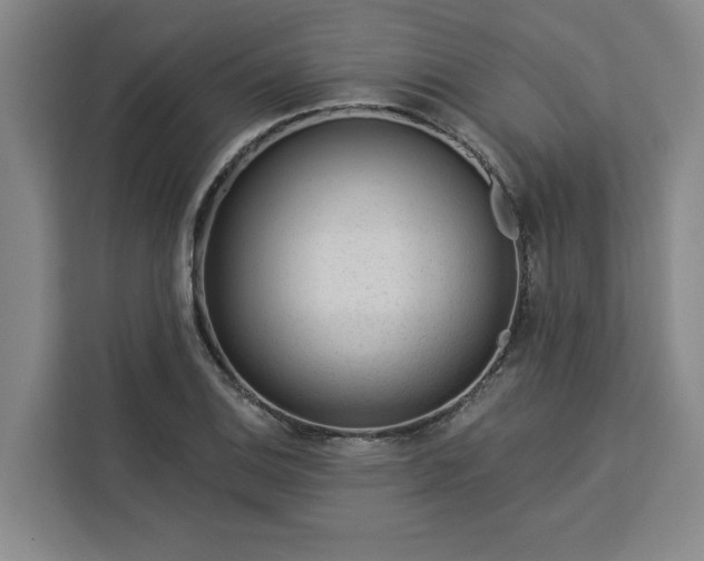 X0000112941124200908311444