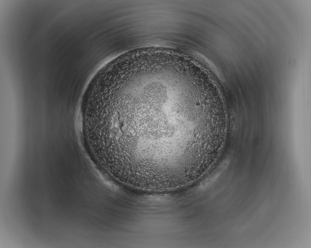 X0000112941125200908311444