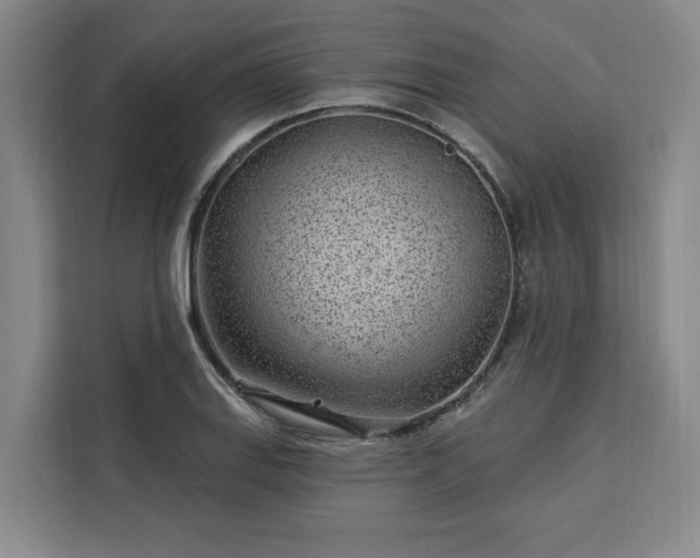 X0000112941127200908311444