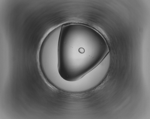 X0000112941128200908311444