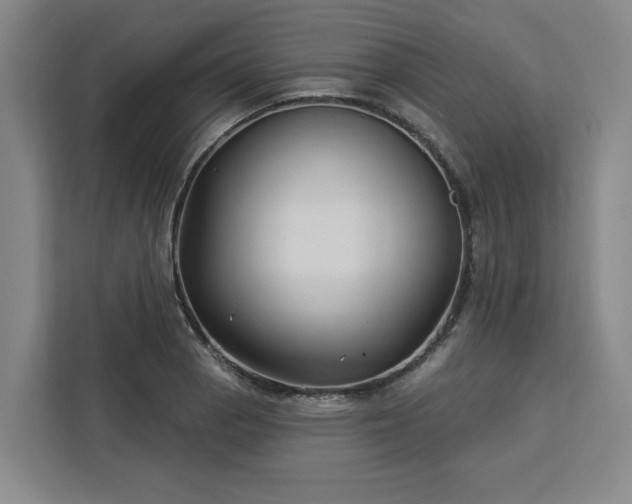 X0000112941129200908311444