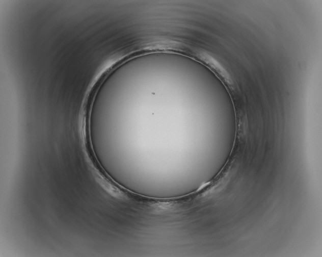 X0000112941130200908311444