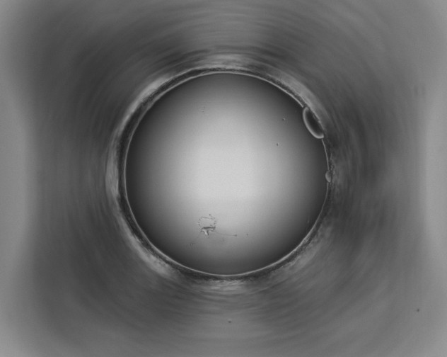 X0000112941131200908311444