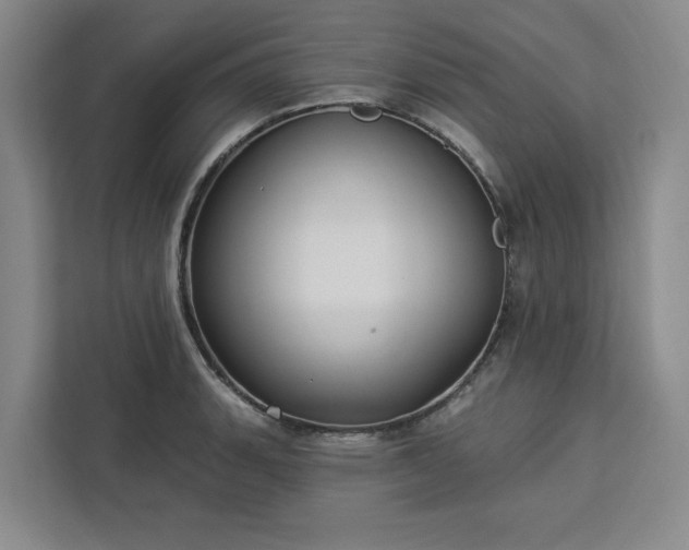 X0000112941135200908311444