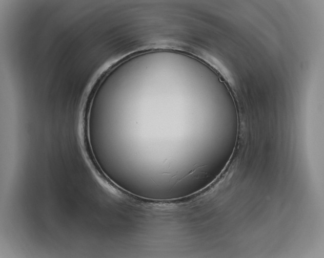 X0000112941136200908311444