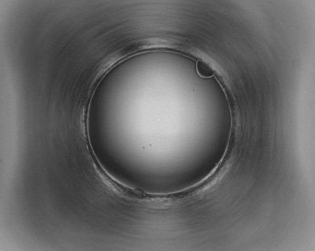X0000112941137200908311444