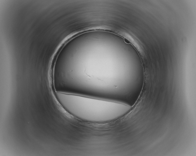 X0000112941140200908311444