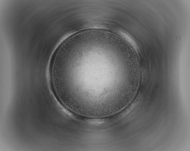 X0000112941141200908311444
