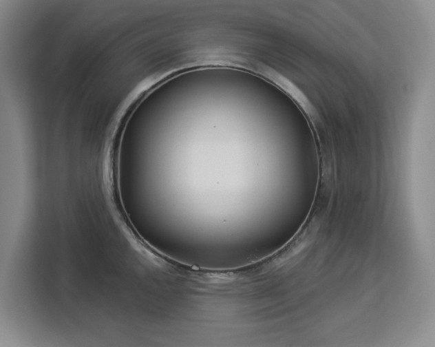 X0000112941144200908311444