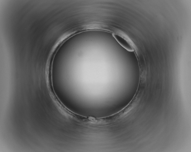 X0000112941146200908311444