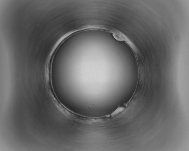 X0000112941148200908311444