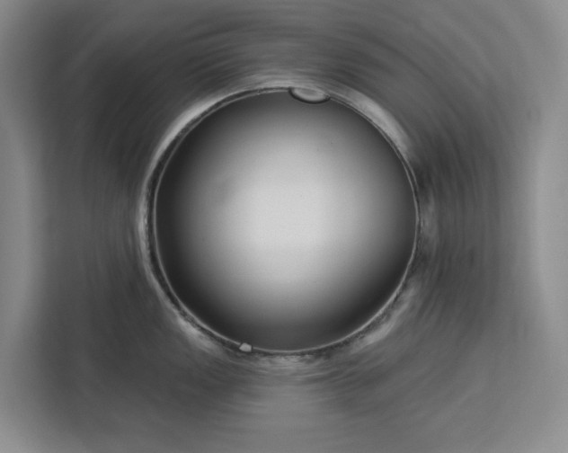 X0000112941149200908311444