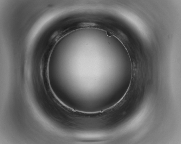 X0000112941151200908311444