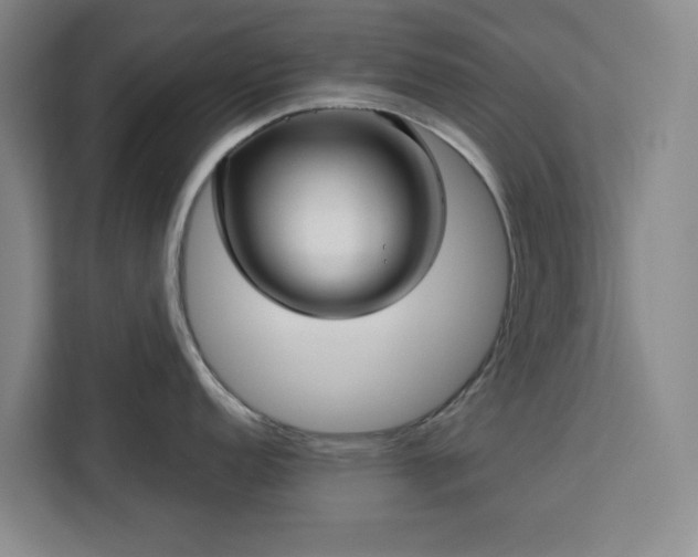 X0000112941152200908311444