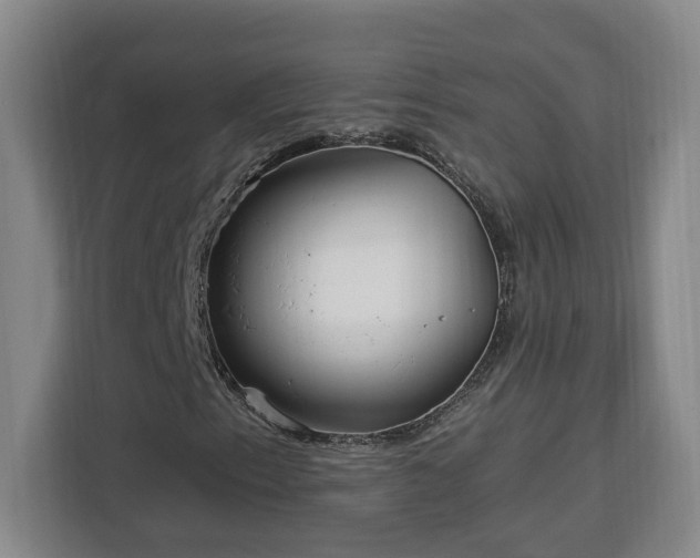 X0000112941153200908311443