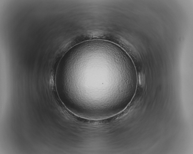 X0000112941155200908311443