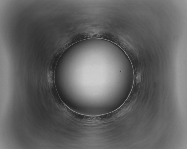 X0000112941156200908311443