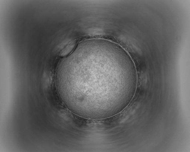 X0000112941157200908311443