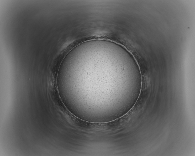 X0000112941158200908311443