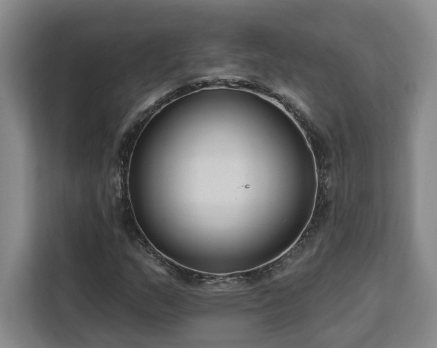X0000112941159200908311443