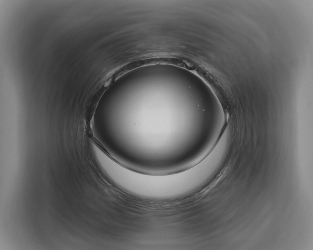 X0000112941161200908311443