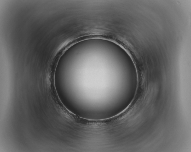 X0000112941163200908311443