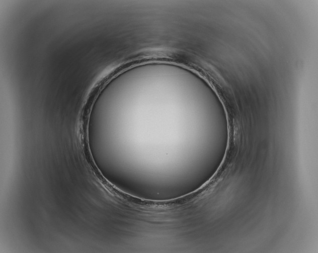 X0000112941164200908311443
