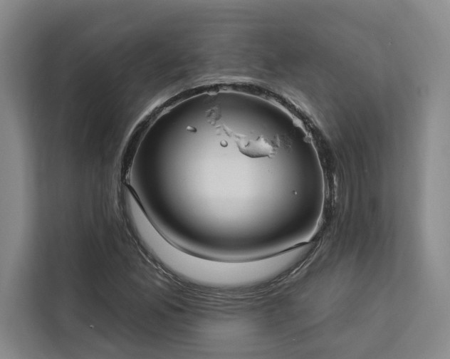 X0000112941165200908311443