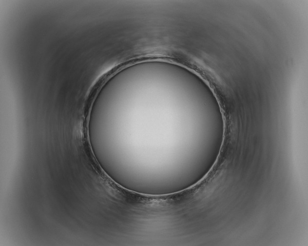 X0000112941166200908311443
