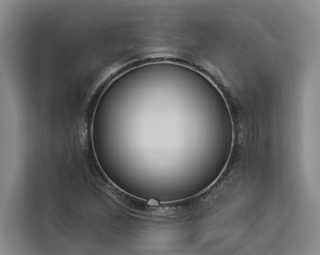 X0000112941167200908311443