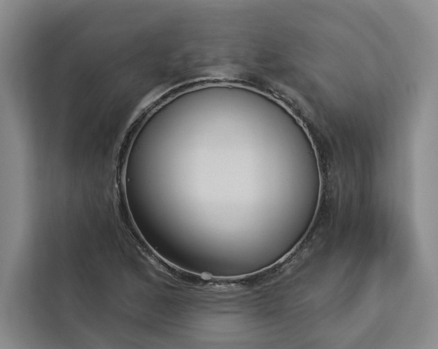 X0000112941168200908311443