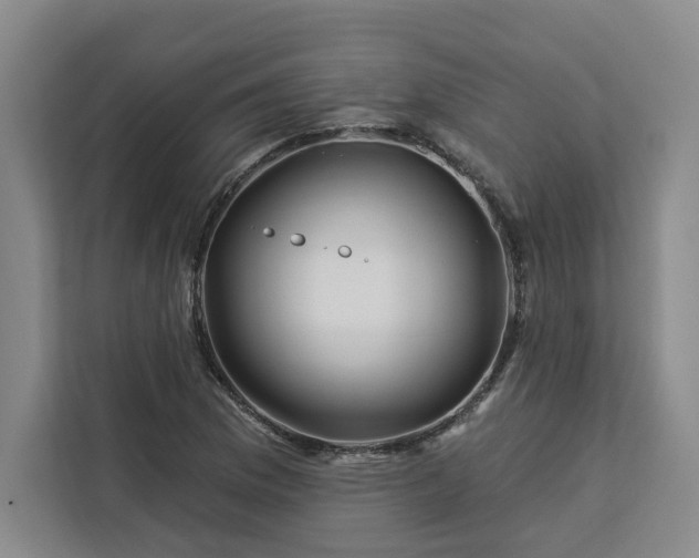 X0000112941169200908311443