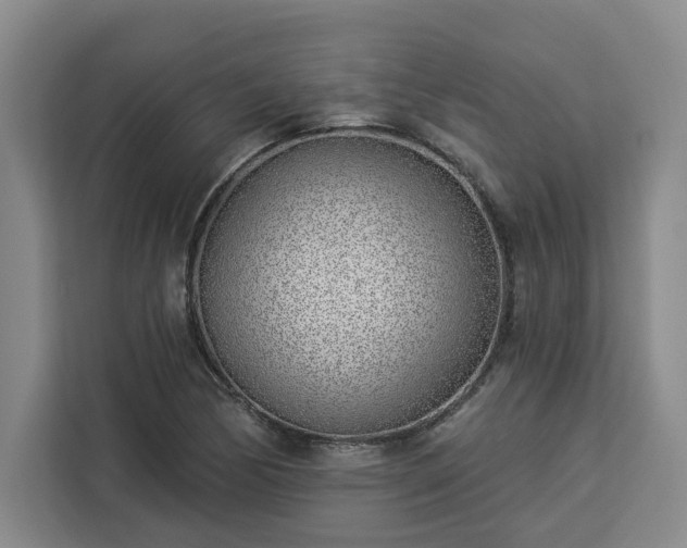 X0000112941170200908311443