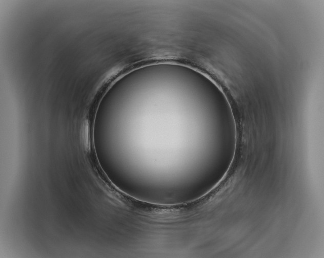 X0000112941171200908311443