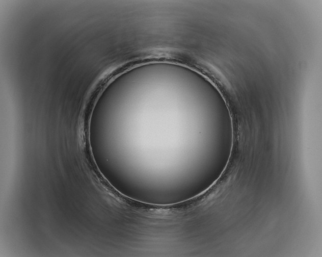 X0000112941172200908311443
