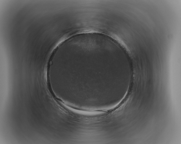 X0000112941173200908311443