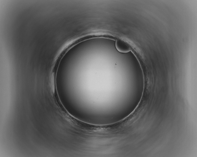 X0000112941175200908311443