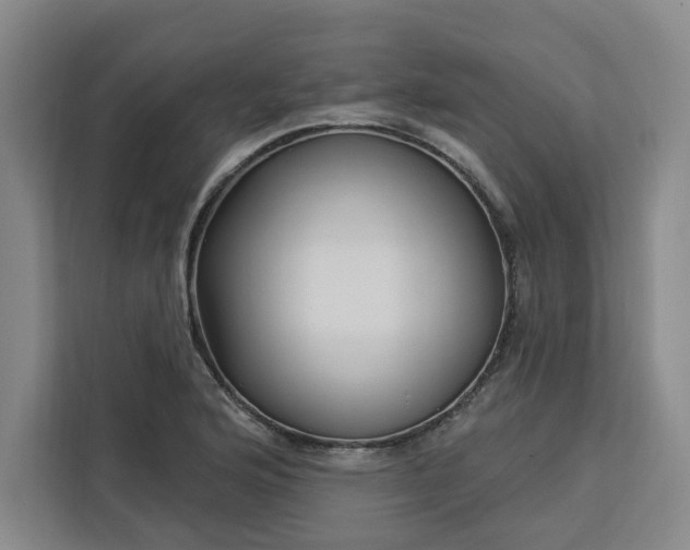 X0000112941176200908311443