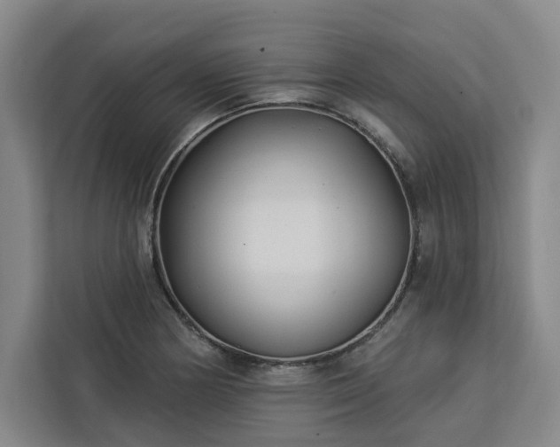 X0000112941178200908311443