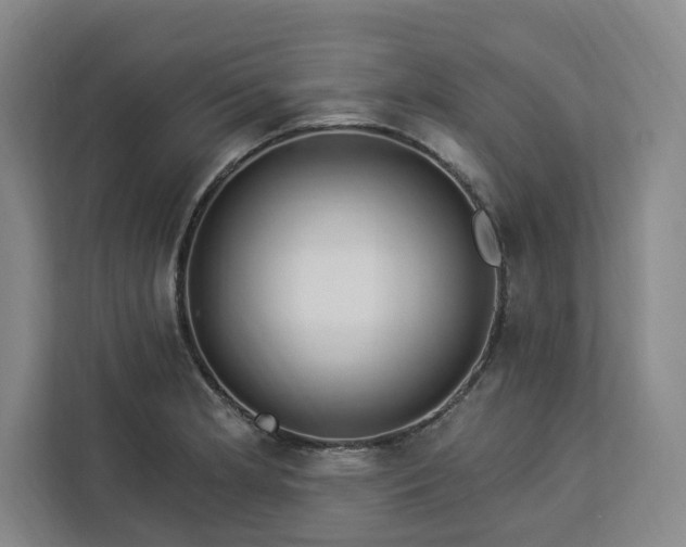 X0000112941181200908311443