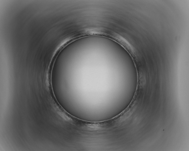 X0000112941182200908311443