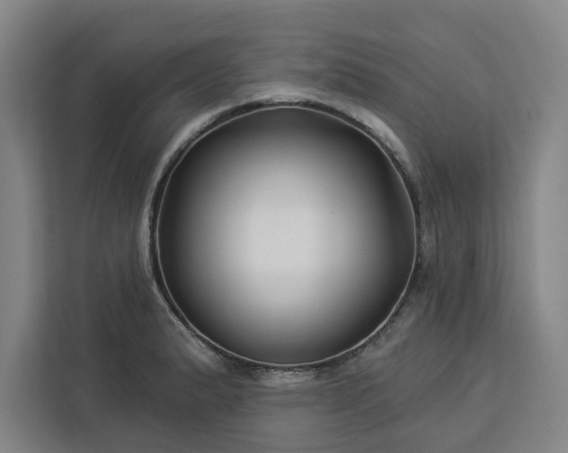 X0000112941183200908311443