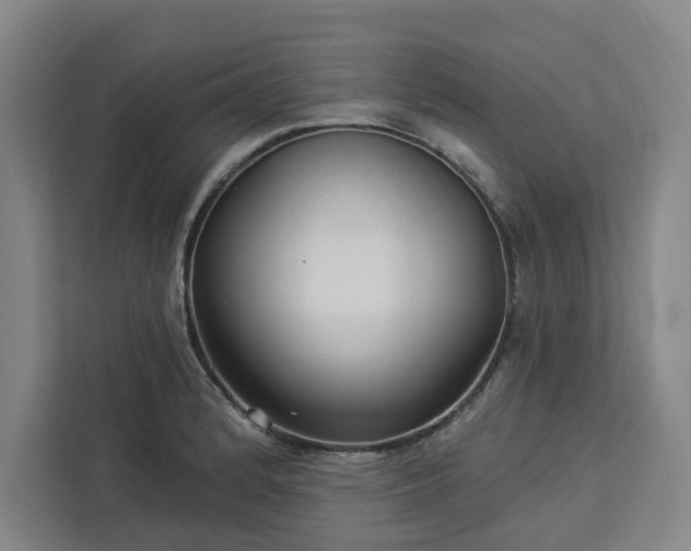 X0000112941184200908311443